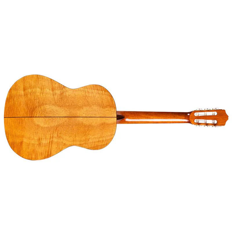 Cordoba Iberia - C5 CD Solid Canadian Cedar Classical Guitar with Gator Case - Image 4