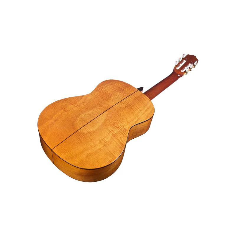 Cordoba Iberia - C5 CD Solid Canadian Cedar Classical Guitar with Gator Case - Image 5