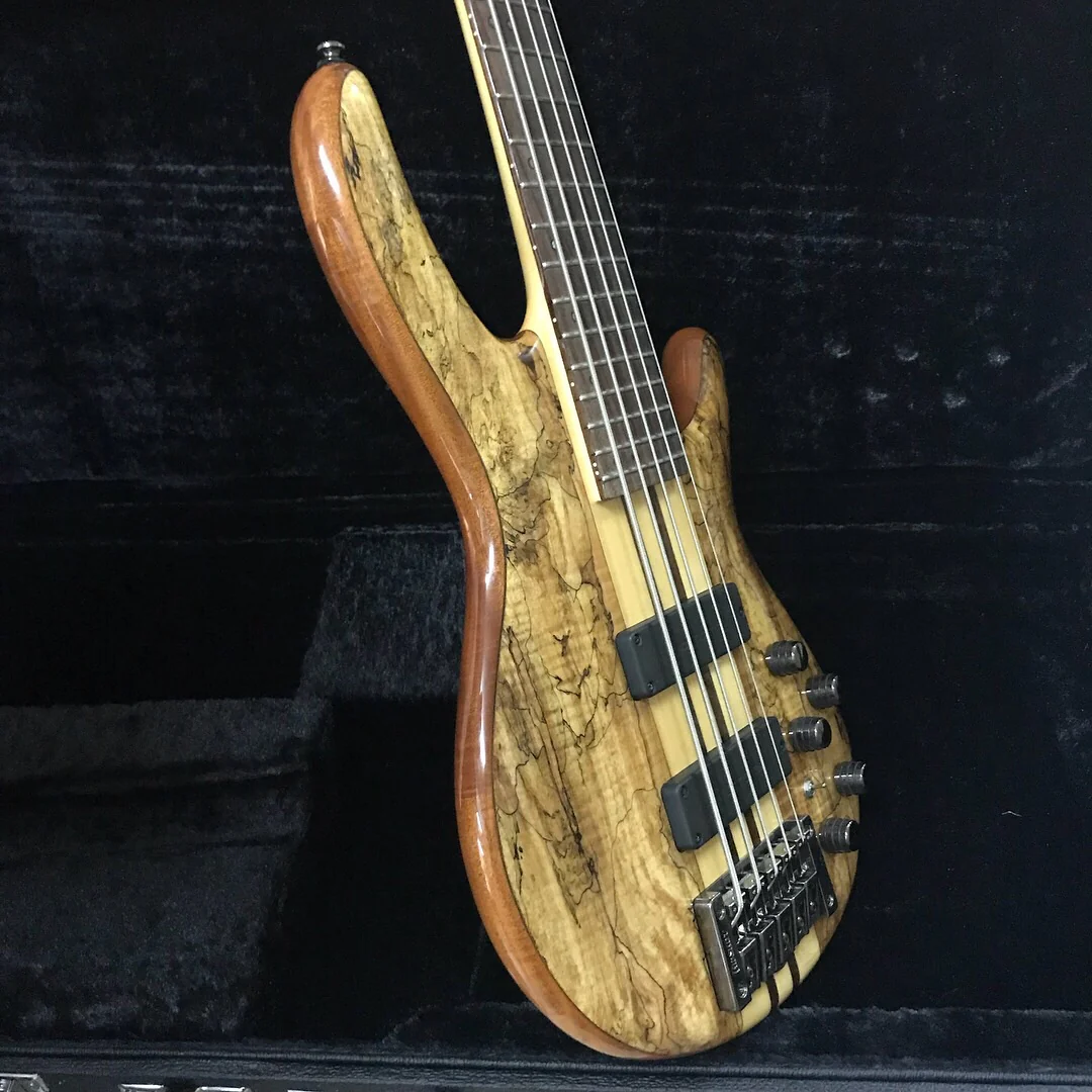 Cort A5 Custom SP 5 String Bass Guitar - Image 2