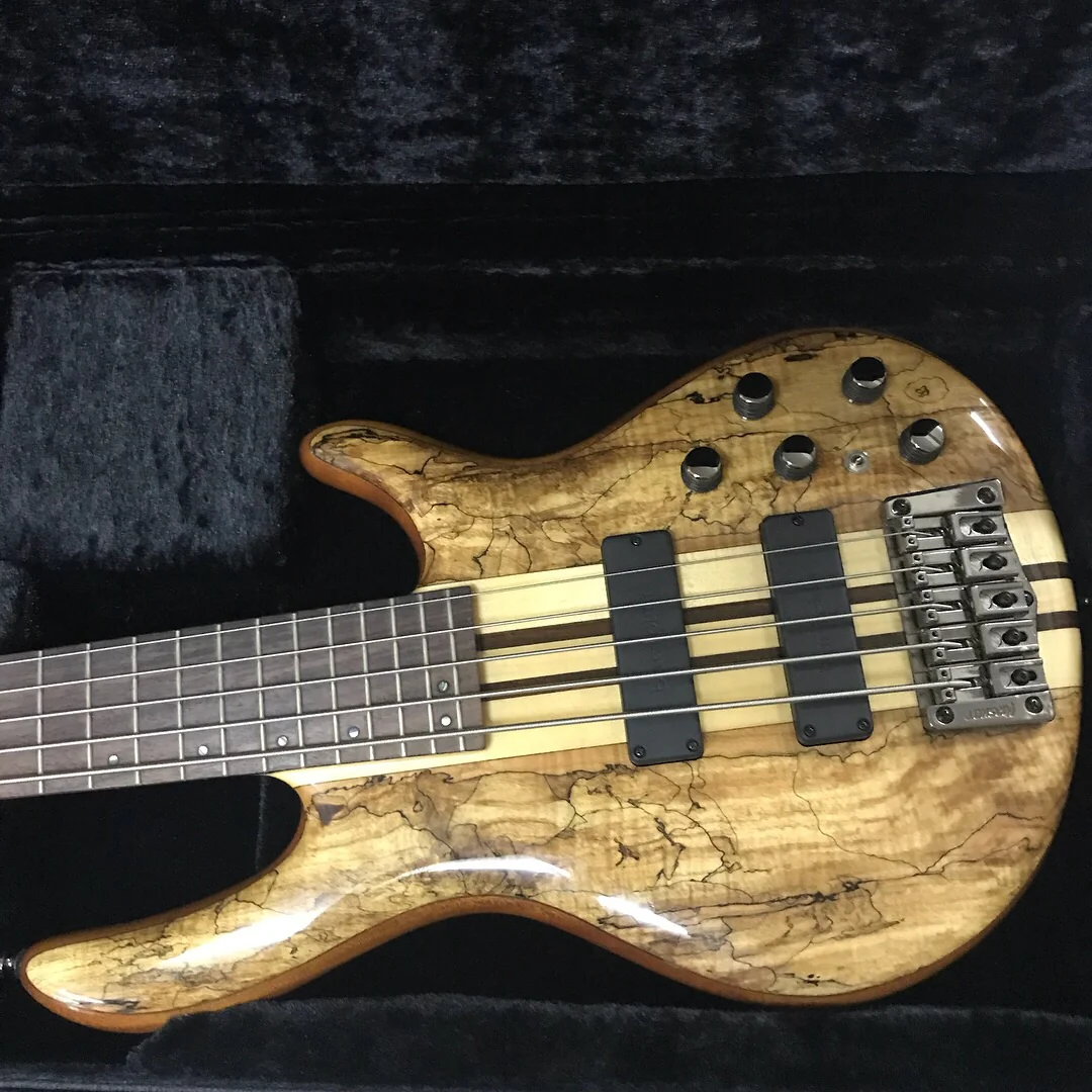 Cort A5 Custom SP 5 String Bass Guitar - Image 4