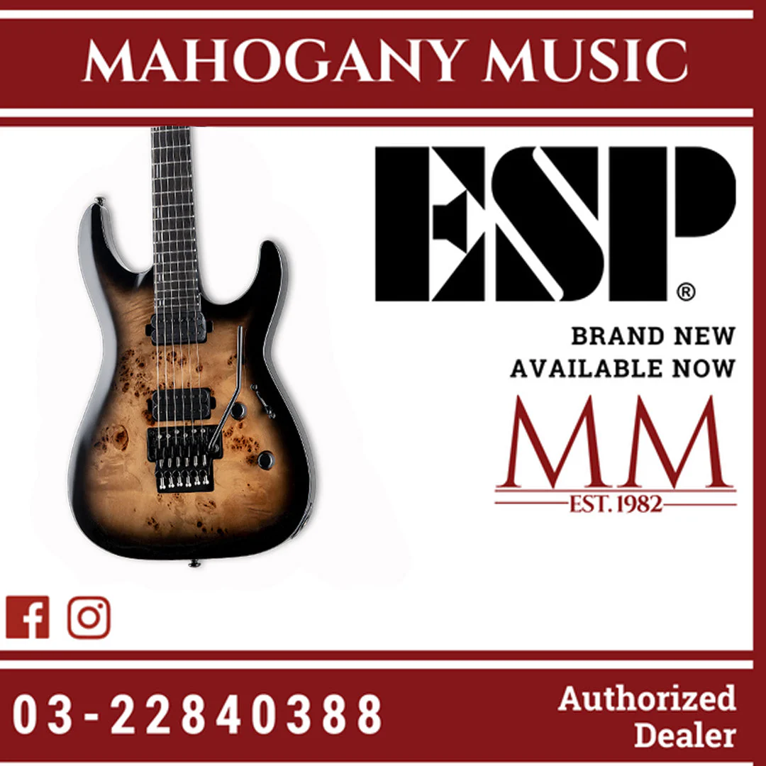 ESP LTD H-1001 FR - Black Natural Burst