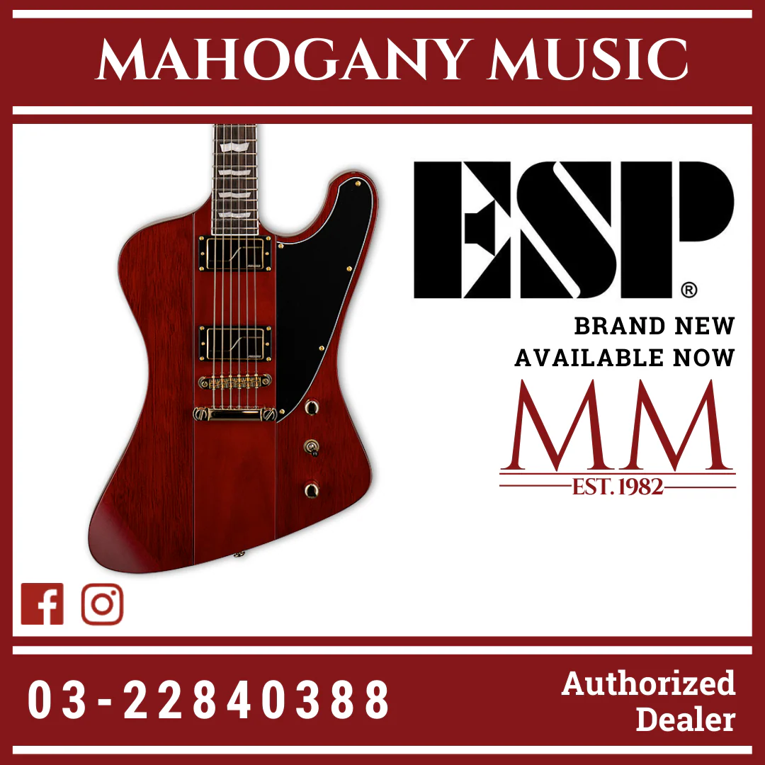 ESP LTD Phoenix-1000 - See Thru Black Cherry