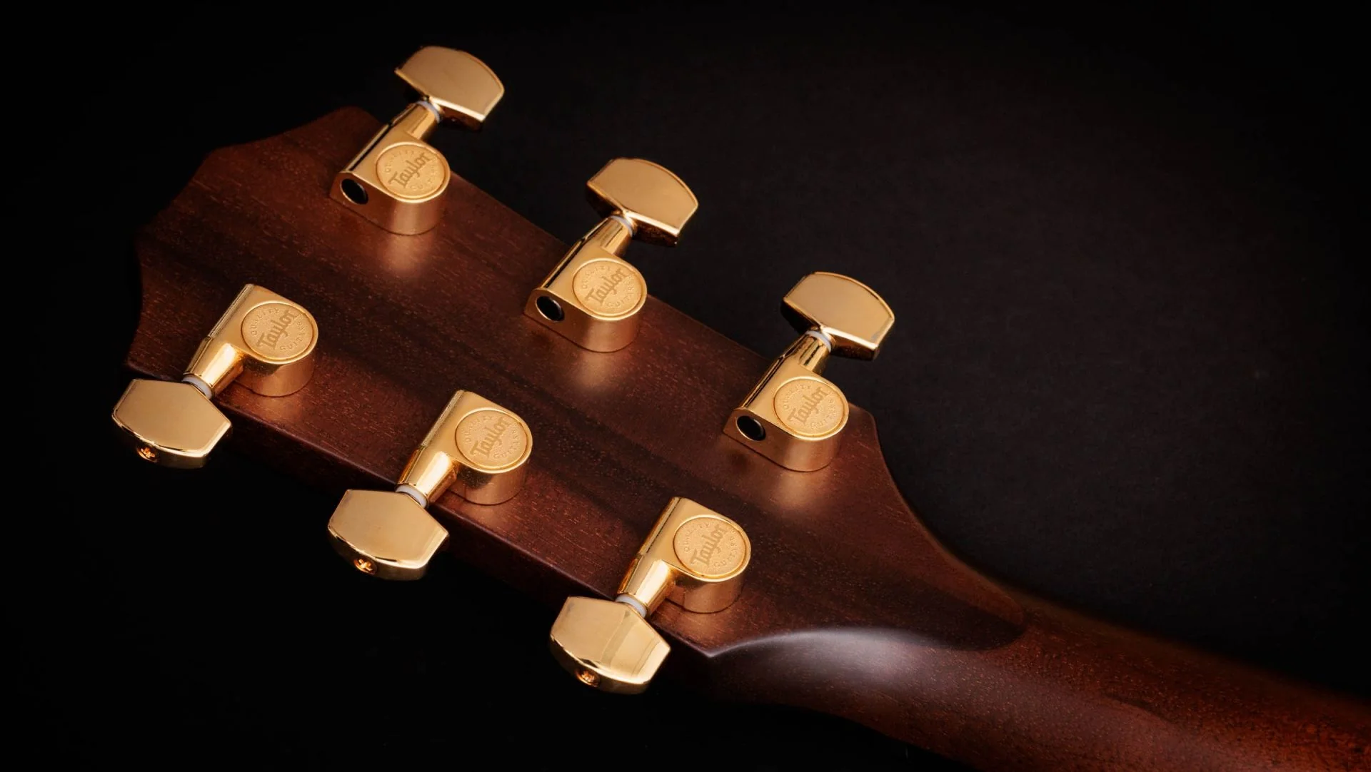 [PREORDER] Taylor 50th Anniversary 312ce LTD - Image 10