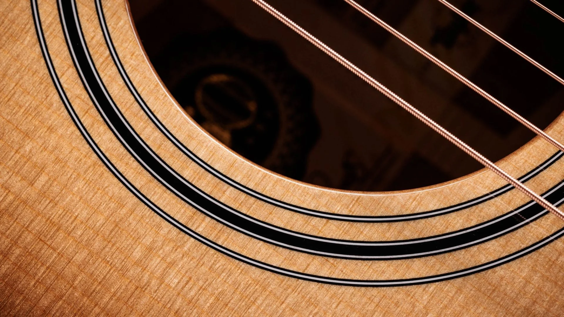[PREORDER] Taylor 50th Anniversary 312ce LTD - Image 5