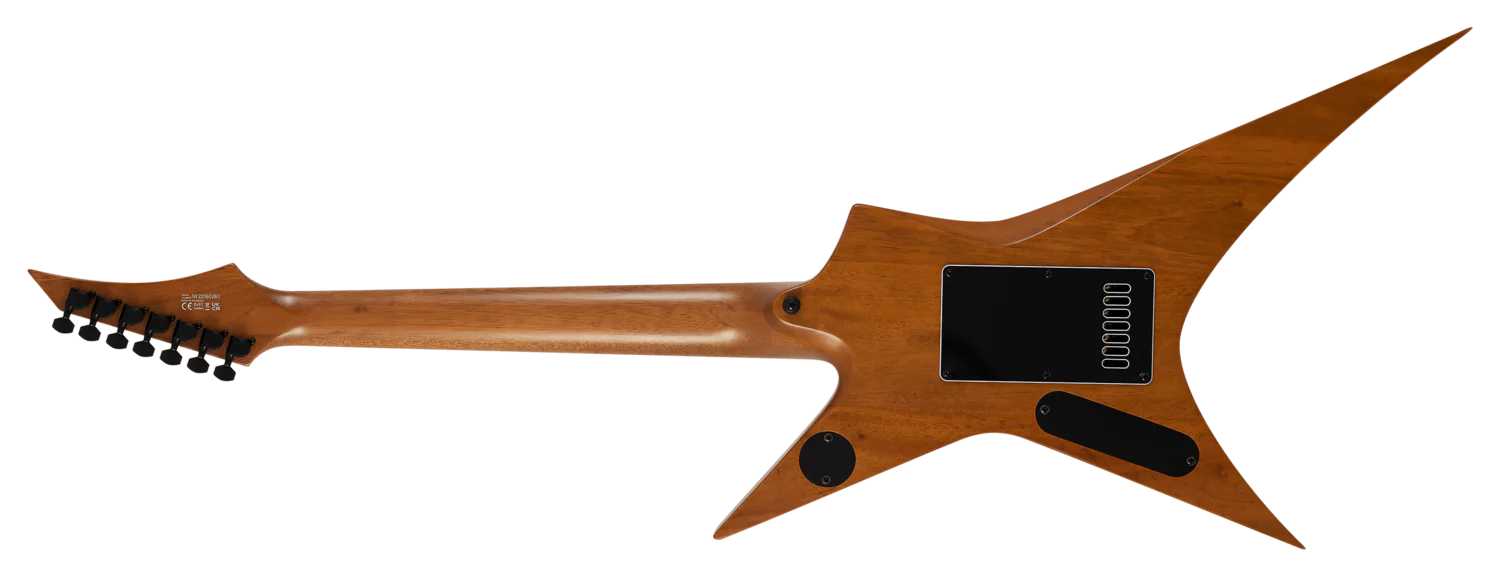 Solar XF1.7FB+ Flame Black Matte Electric Guitar - Image 4